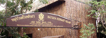 Pattaya Elephant Village