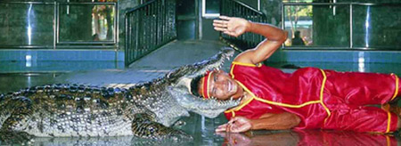 The Million-Year Stone Park and Crocodile Farm