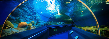 Underwater World Pattaya